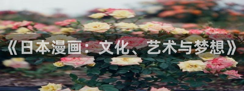 韩漫异类漫画在线阅读免费：《日本漫画：文化、艺术与梦想》