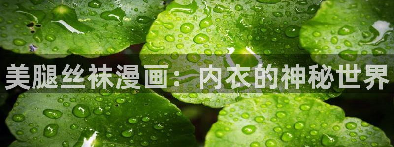 韩漫免费看歪歪：美腿丝袜漫画：内衣的神秘世界
