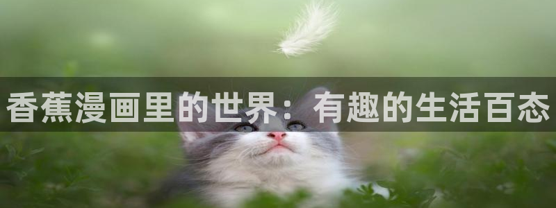 h韩漫漫画免费：香蕉漫画里的世界：有趣的生活百态