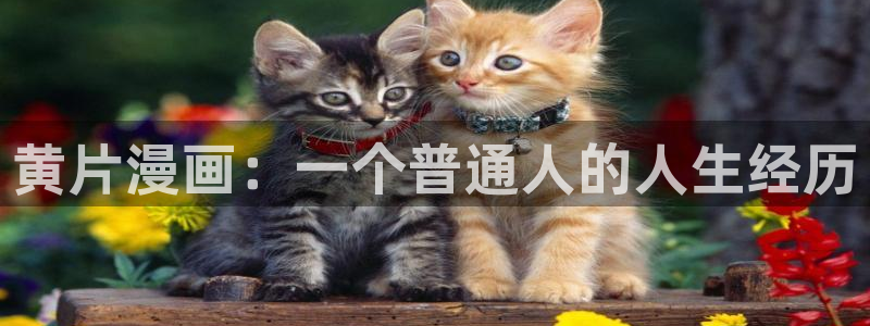 韩漫黄在线观看：黄片漫画：一个普通人的人生经历