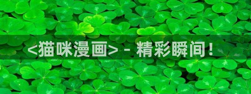 韩漫在线观看网：<猫咪漫画> - 精彩瞬间！
