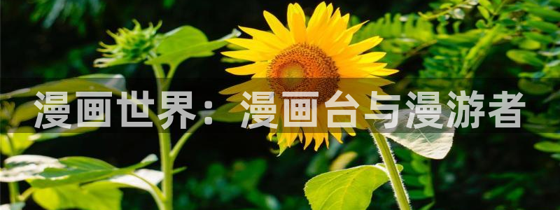韩漫杀手锏漫画：漫画世界：漫画台与漫游者