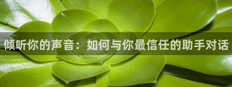 韩漫免费h：倾听你的声音：如何与你最信任的助手对话